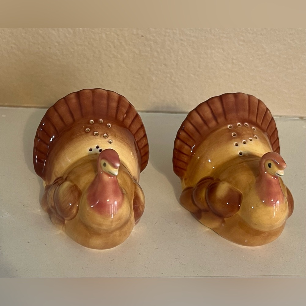 Essential Home Turkey Salt and Pepper Shakers Set